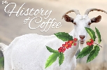 Istoria Cafelei - O excursie in trecut